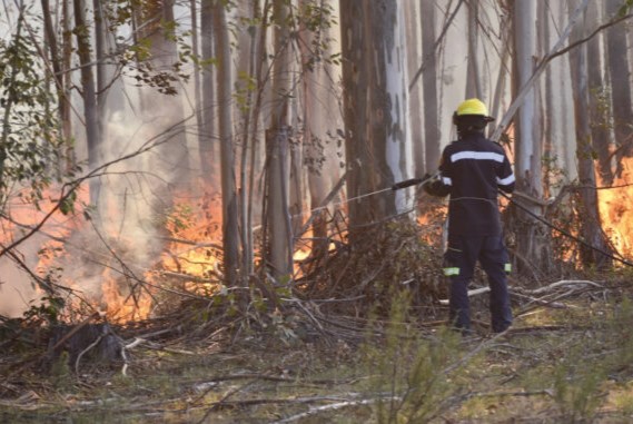 prevencion incendio