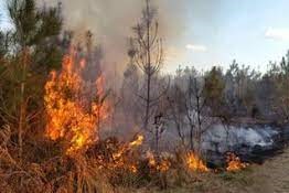 temporada de incendios