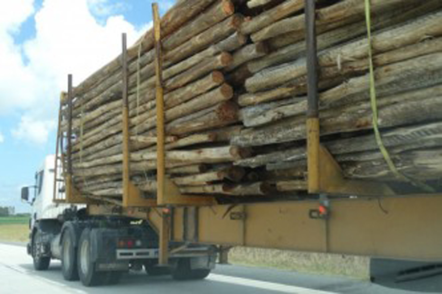 camion troncos ElObservador