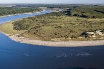 conservacion de montes del plata