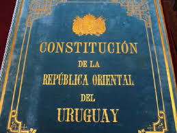libro constitucion