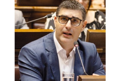 tucci