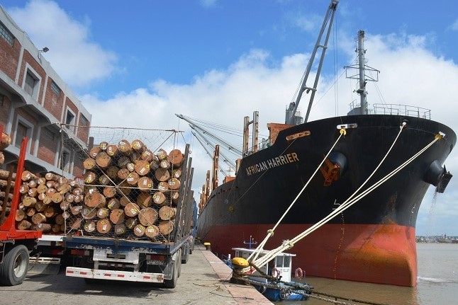 madera forestacion puerto barco