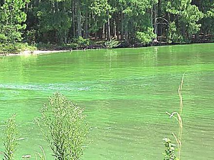 agua verde baigorria