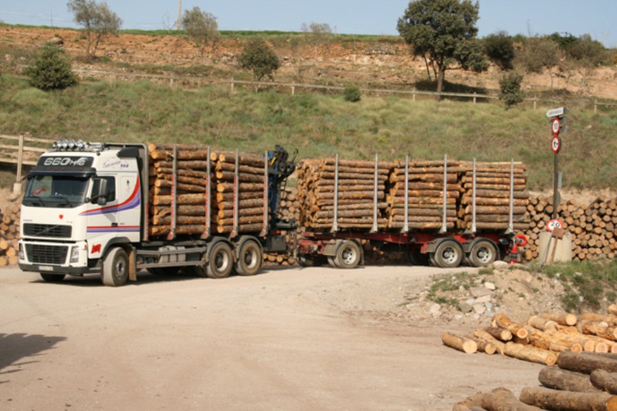 transporte maderas